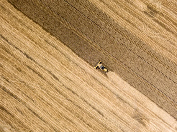 Aerial Drone View Harvester Harvests Wheat Ukrainian Field — Stock Photo, Image