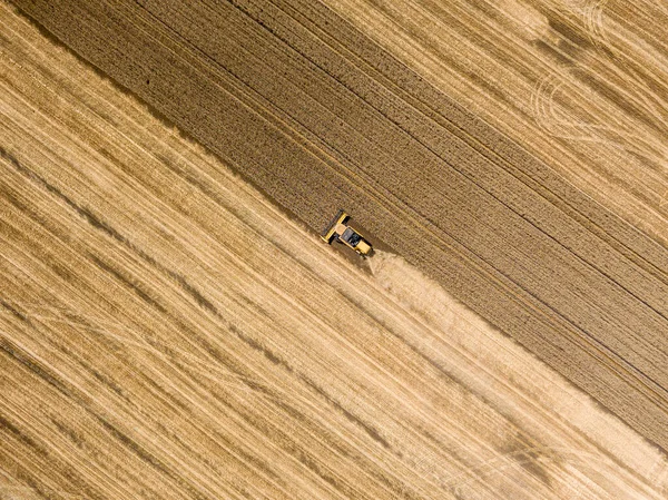 Vista Aérea Drones Colheitadeira Colhe Trigo Campo Ucraniano — Fotografia de Stock