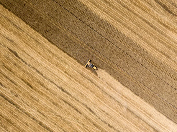 Aerial Drone View Harvester Harvests Wheat Ukrainian Field — Stock Photo, Image