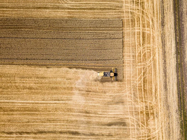 Vista Aérea Drones Colheitadeira Colhe Trigo Campo Ucraniano — Fotografia de Stock