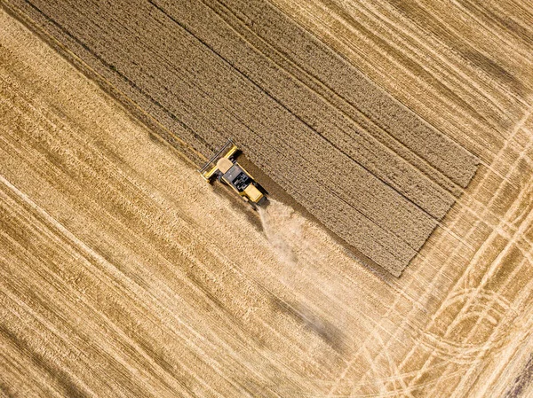 空中ドローンビュー ウクライナの畑で収穫小麦 — ストック写真