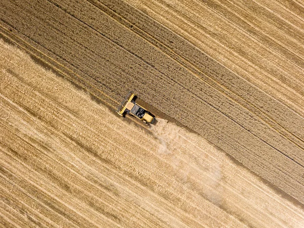 Drohnen Aus Der Luft Erntemaschine Erntet Weizen Auf Ukrainischem Feld — Stockfoto