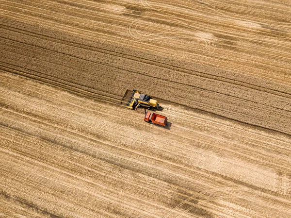 Αεροφωτογραφία Τηλεκατευθυνόμενου Θεριστής Ρίχνει Την Καλλιέργεια Σιταριού Στο Φορτηγό — Φωτογραφία Αρχείου