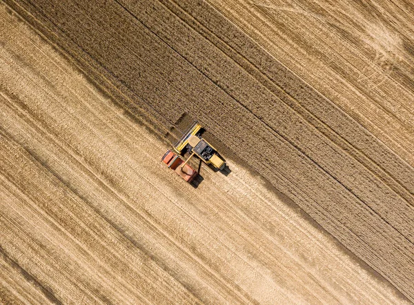 Aerila Vista Drone Colheitadeira Derrama Colheita Trigo Caminhão — Fotografia de Stock