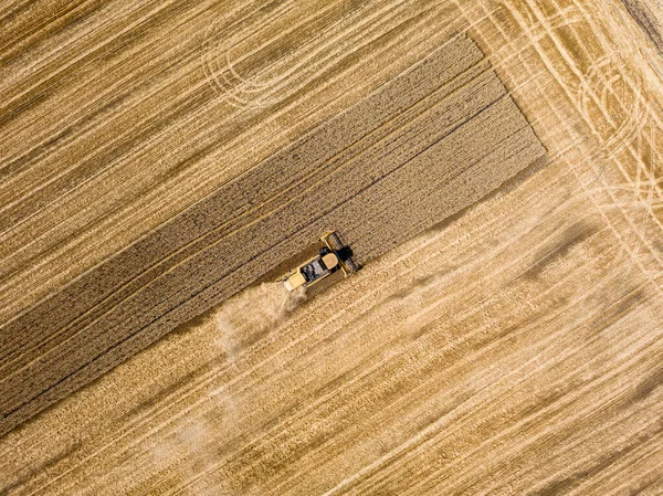 空中无人驾驶飞机视图 收割者在乌克兰田里收割小麦 — 图库照片