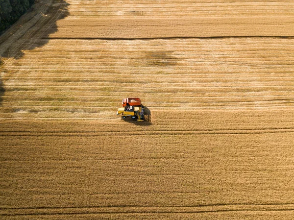 Αεροφωτογραφία Τηλεκατευθυνόμενου Θεριστής Ρίχνει Την Καλλιέργεια Σιταριού Στο Φορτηγό — Φωτογραφία Αρχείου