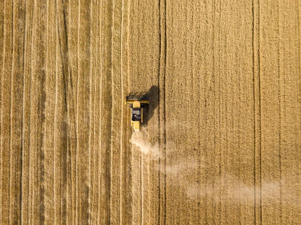 空中无人驾驶飞机视图 收割者在乌克兰田里收割小麦 — 图库照片