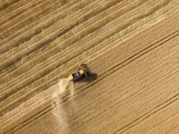 Vista Aérea Drones Colheitadeira Colhe Trigo Campo Ucraniano — Fotografia de Stock