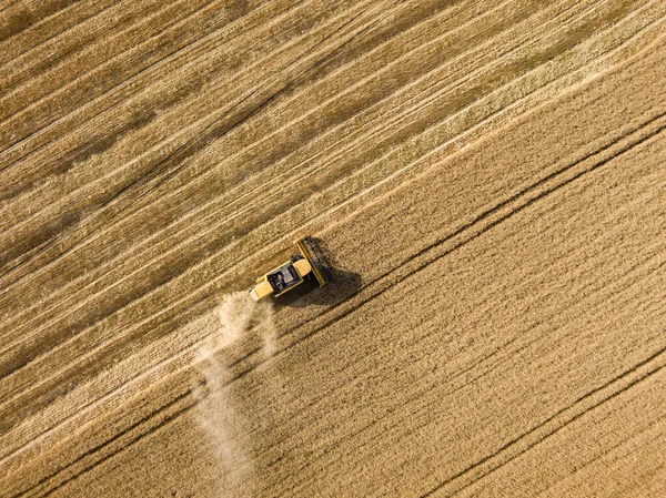 Drohnen Aus Der Luft Erntemaschine Erntet Weizen Auf Ukrainischem Feld — Stockfoto