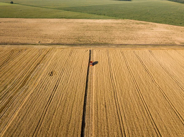 Flygdrönare Lastbil Med Spannmål Ett Moget Vetefält Ukraina — Stockfoto