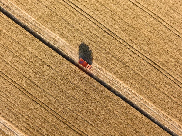 Vista Aérea Drones Caminhão Com Grão Campo Trigo Maduro Ucrânia — Fotografia de Stock