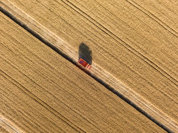 Flygdrönare Lastbil Med Spannmål Ett Moget Vetefält Ukraina — Stockfoto