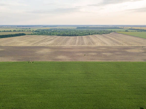 Campo Maíz Verde Ucrania Vista Aérea Del Dron — Foto de Stock