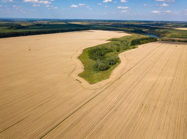 Hava aracı görüntüsü. Ukrayna tarımsal alanlarının pürüzsüz geometrik sınırları. Açık yaz günü.