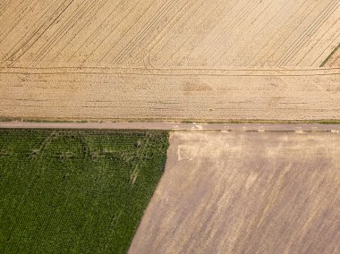 Hava aracı görüntüsü. Ukrayna tarımsal alanlarının pürüzsüz geometrik sınırları. Açık yaz günü.