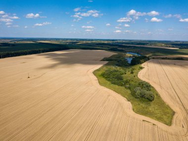 Hava aracı görüntüsü. Ukrayna tarımsal alanlarının pürüzsüz geometrik sınırları. Açık yaz günü.
