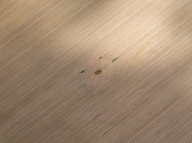 Ukrayna 'da olgunlaşmış buğday tarlası. Açık yaz günü. Hava görünümü.