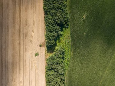 Hava aracı görüntüsü. Ukrayna tarımsal alanlarının pürüzsüz geometrik sınırları. Açık yaz günü.