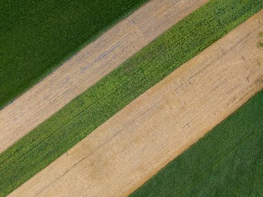 Hava aracı görüntüsü. Ukrayna tarımsal alanlarının pürüzsüz geometrik sınırları. Açık yaz günü.