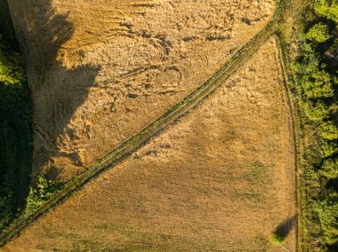 Hava aracı görüntüsü. Ukrayna tarımsal alanlarının pürüzsüz geometrik sınırları. Açık yaz günü.