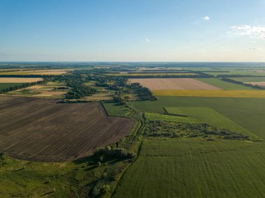 Hava aracı görüntüsü. Yazın Ukrayna tarlaları.