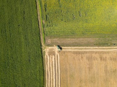Ukrayna 'da yeşil mısır ve ayçiçeği tarlaları. Hava aracı görünümü.