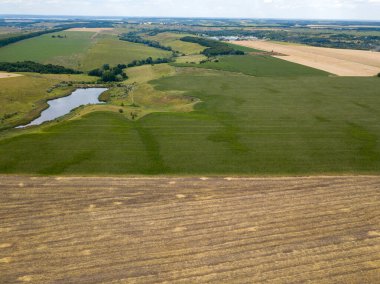 Hava aracı görüntüsü. Ukrayna tarımsal alanlarının pürüzsüz geometrik sınırları. Açık yaz günü.