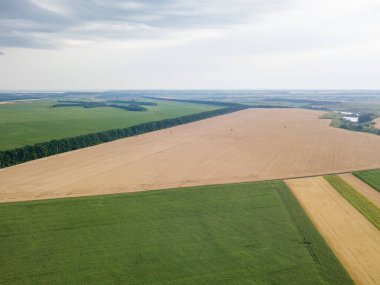 Hava aracı görüntüsü. Ukrayna tarımsal alanlarının pürüzsüz geometrik sınırları. Açık yaz günü.
