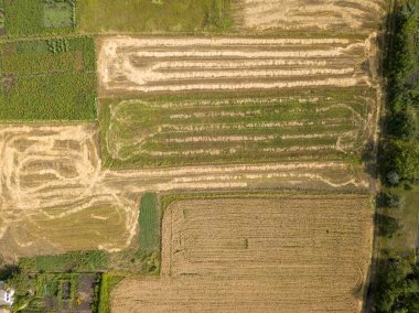 Hava aracı görüntüsü. Ukrayna tarımsal alanlarının pürüzsüz geometrik sınırları. Açık yaz günü.