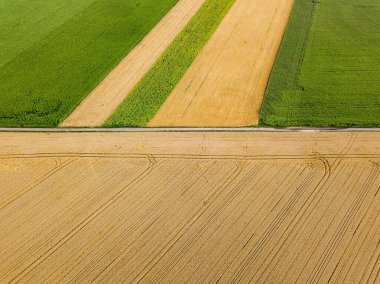 Hava aracı görüntüsü. Ukrayna tarımsal alanlarının pürüzsüz geometrik sınırları. Açık yaz günü.