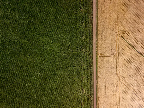 Vista Aérea Drones Fronteiras Geométricas Suaves Dos Campos Agrícolas Ucranianos — Fotografia de Stock