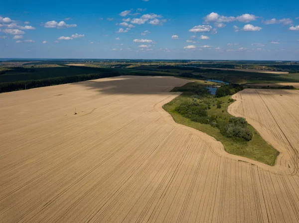 空中无人驾驶飞机视图 乌克兰农田的光滑几何边界 夏日晴天 — 图库照片