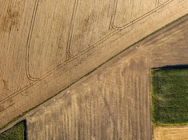 Vue Aérienne Sur Drone Frontières Géométriques Lisses Des Champs Agricoles — Photo