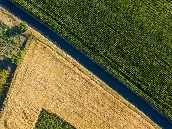 空中ドローンビュー ウクライナの農業分野の滑らかな幾何学的境界 夏の晴れた日 — ストック写真