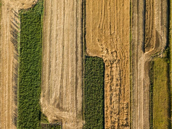 Letecký Výhled Hladké Geometrické Hranice Ukrajinských Zemědělských Polí Letní Jasný — Stock fotografie