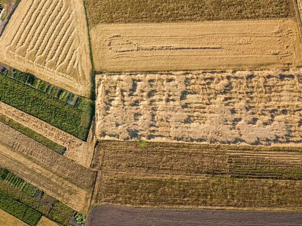 Vista Aérea Del Dron Fronteras Geométricas Lisas Los Campos Agrícolas — Foto de Stock