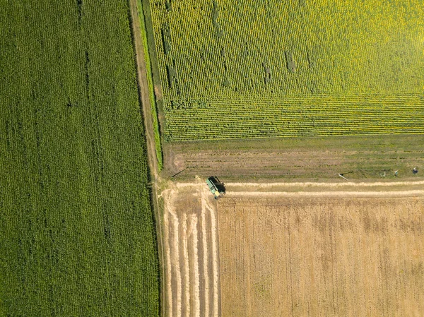 Flygdrönare Smidiga Geometriska Gränser Ukrainska Jordbruksfält Sommarens Klara Dag — Stockfoto