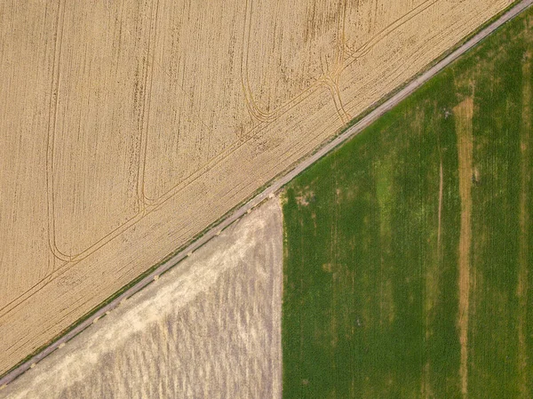 Vista Aérea Drones Fronteiras Geométricas Suaves Dos Campos Agrícolas Ucranianos — Fotografia de Stock