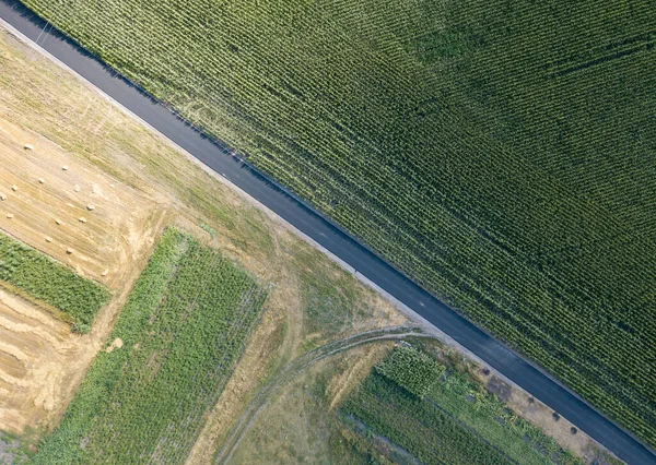 Légi Felderítő Sima Geometriai Határai Ukrán Mezőgazdasági Területeken Nyári Tiszta — Stock Fotó