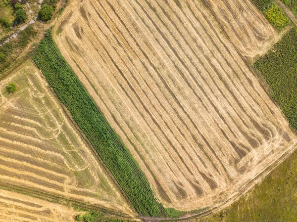 Vue Aérienne Sur Drone Frontières Géométriques Lisses Des Champs Agricoles — Photo