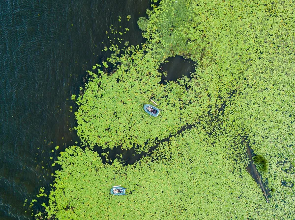空中ドローンビュー 川の睡蓮の間の漁船 — ストック写真