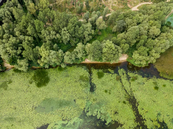 Nehir Kıyısı Hava Aracı Görüntüsü — Stok fotoğraf