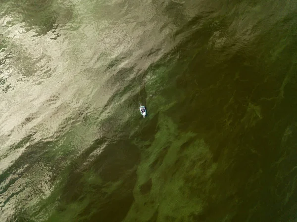 Vue Aérienne Sur Drone Bateau Pêche Sur Eau Les Algues — Photo