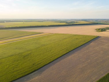 Ukrayna tarım sahalarının hava aracı görüntüsü.