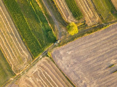 Hava aracı görüntüsü. Toplanan Ukrayna buğday tarlası.