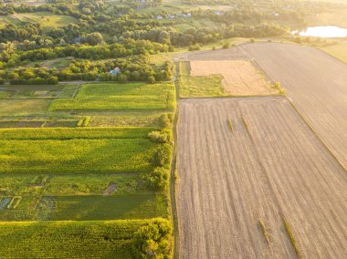 Hava aracı görüntüsü. Toplanan Ukrayna buğday tarlası.