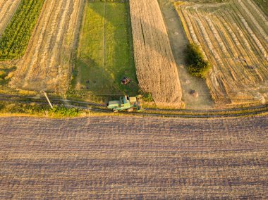 Hava aracı görüntüsü. Toplanan Ukrayna buğday tarlası.