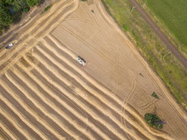 Hava aracı görüntüsü. Toplanan Ukrayna buğday tarlası.