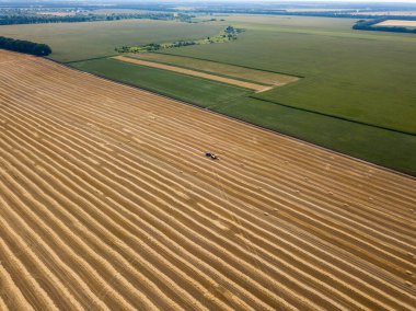 Hava aracı görüntüsü. Toplanan Ukrayna buğday tarlası.