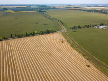 Hava aracı görüntüsü. Toplanan Ukrayna buğday tarlası.